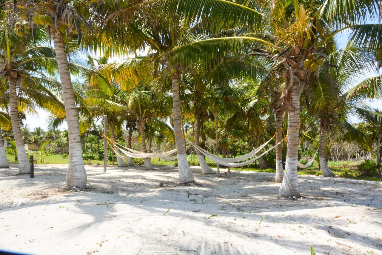 فندق Caleta Tankah تولوم المظهر الخارجي الصورة