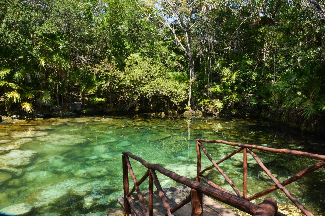 فندق Caleta Tankah تولوم المظهر الخارجي الصورة